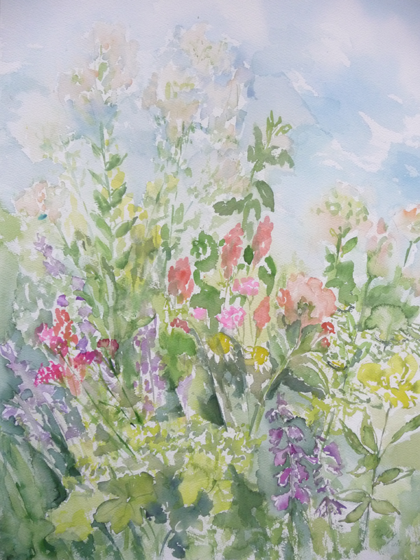 zomerbloemen in de tuin 