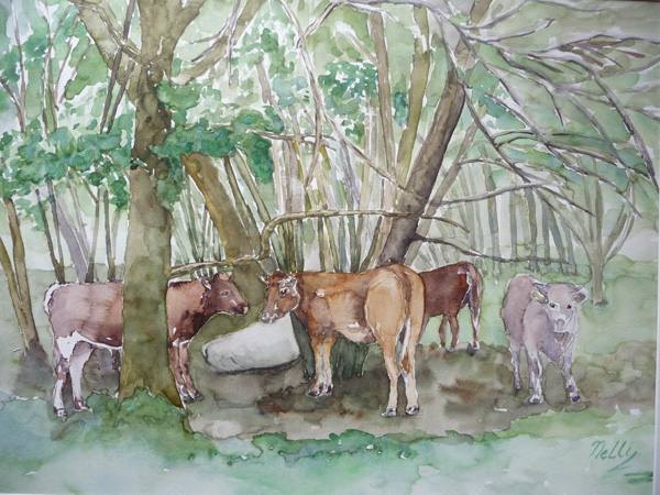 aquarel